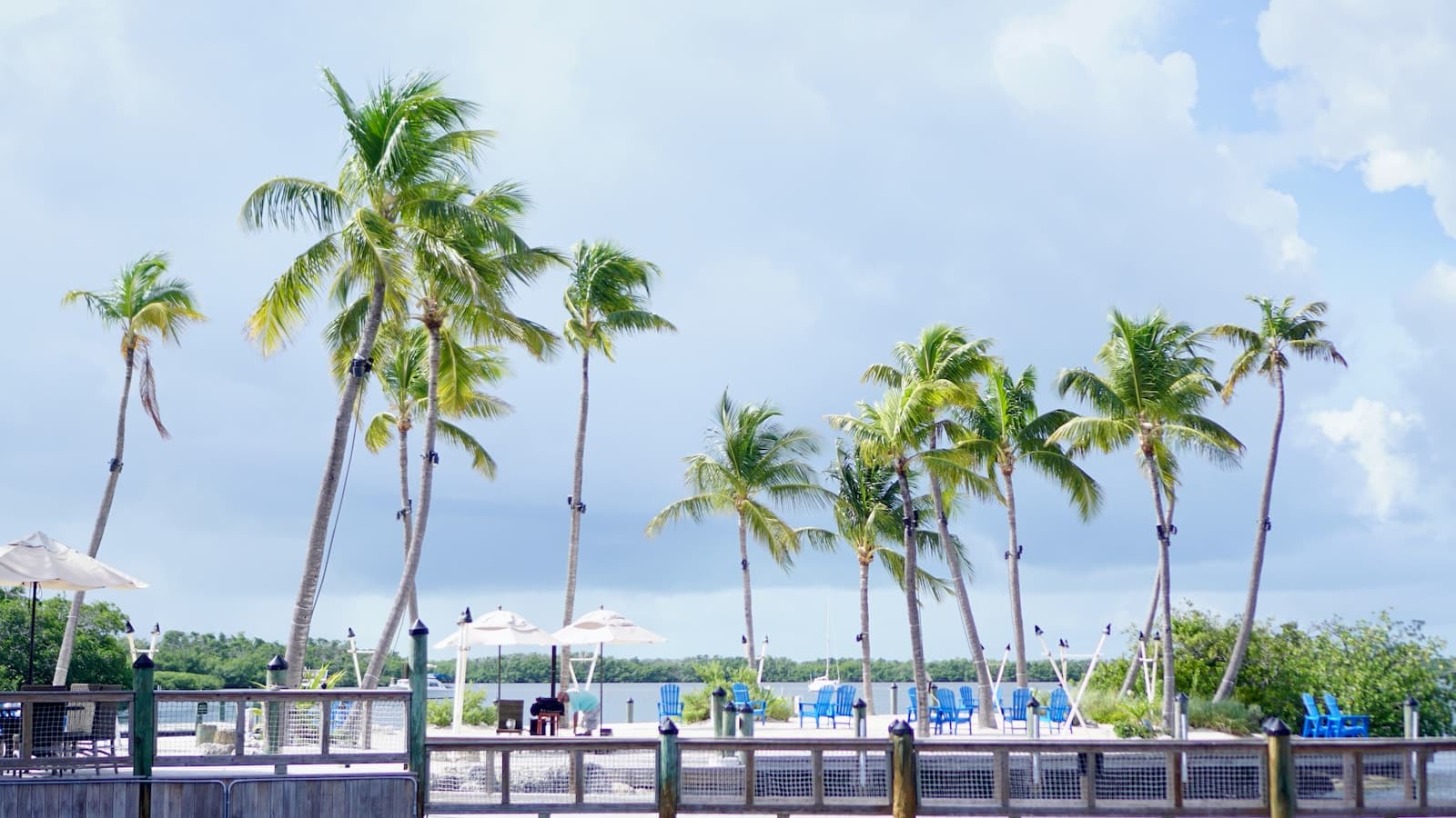 Palm-lined waterfront in the Florida Keys